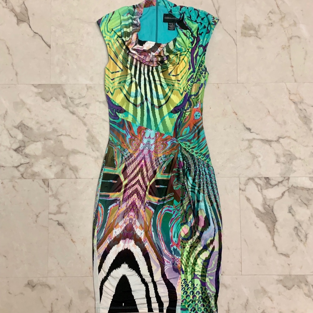 Frank Lynn print dress